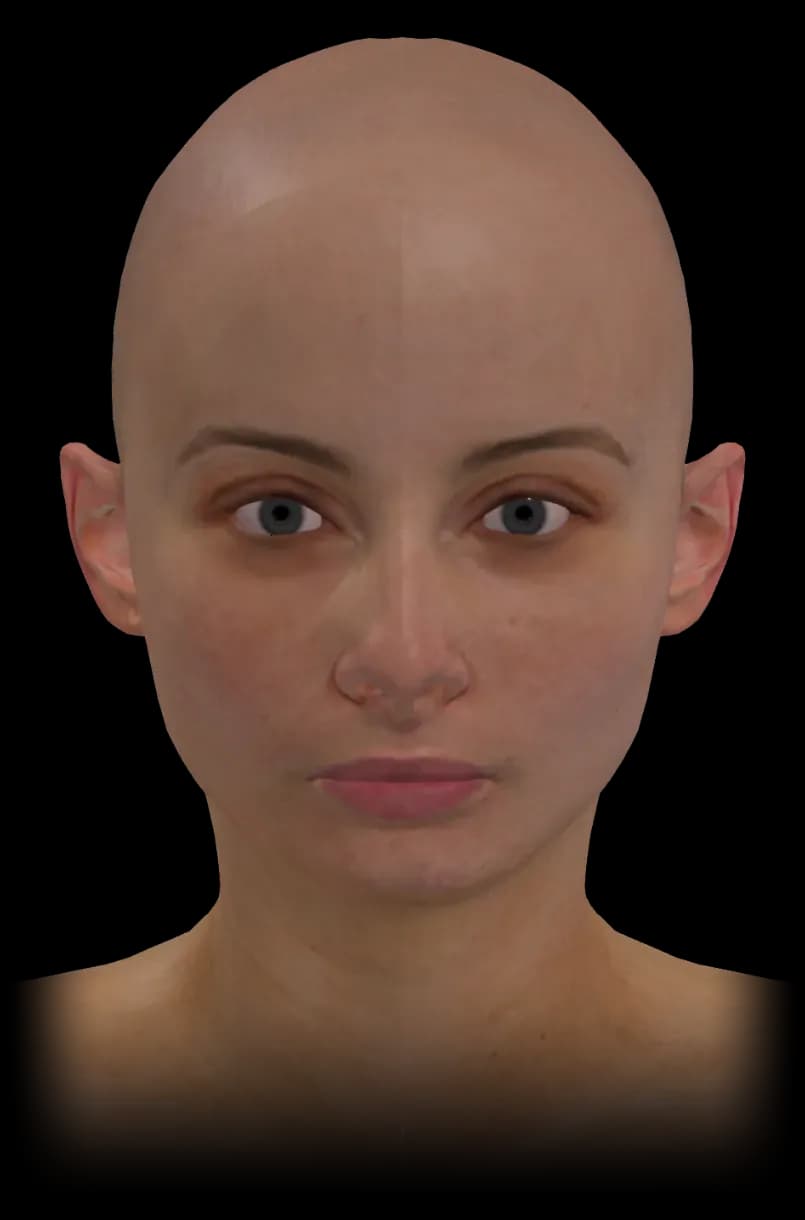 FAesthetics anatomy model showing skin